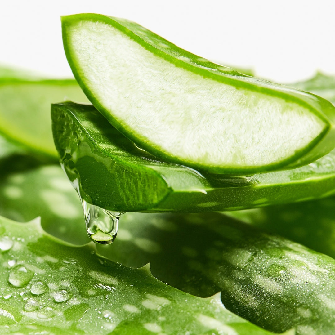 Un gros plan sur des feuilles d'aloe vera fraîches, dont l'une a été coupée pour laisser apparaître le gel transparent qui s'écoule, met en valeur les ingrédients de qualité utilisés dans le « Pur Savon Liquide de Marseille - Parfum Aloe Vera » de Le Petit Olivier.