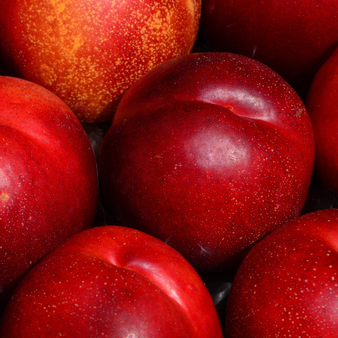 Ce gros plan sur des nectarines mûres, dont la peau lisse et brillante, parsemée de petites taches blanches et présentant de douces nuances de couleur, évoque la fraîcheur de la Crème Douche Fleur d'Amandier Nectarine de Le Petit Olivier.