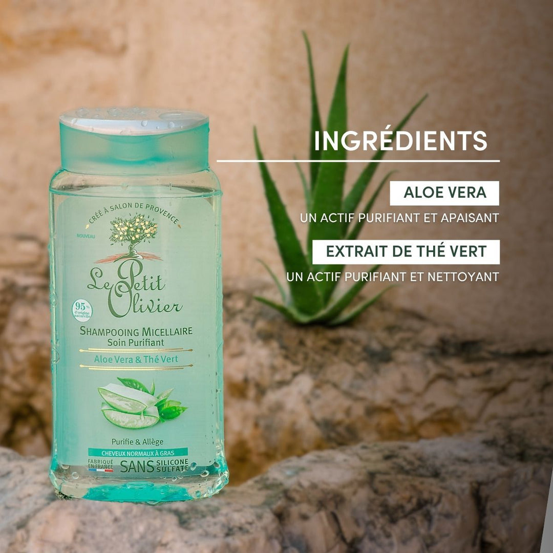 Un flacon de « Le Petit Olivier Shampoing Cheveux Gras » est posé sur une surface en bois, avec des feuilles d'aloès en arrière-plan et un texte mettant en avant l'aloe vera et l'extrait de thé vert — idéal pour les cheveux gras.