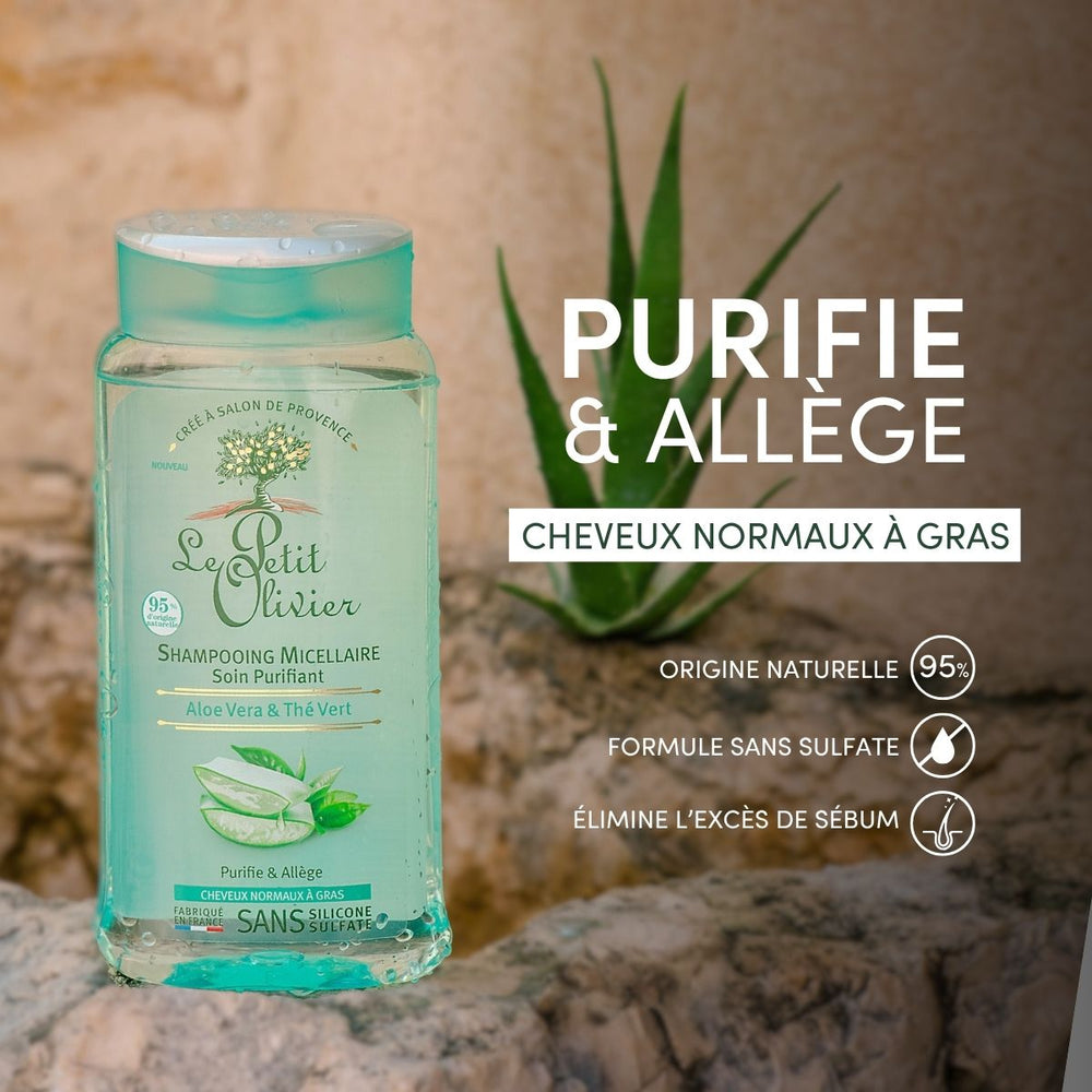 Un flacon de « Le Petit Olivier Shampoing Cheveux Gras » est posé sur une surface en pierre, avec de l'aloès en arrière-plan. Sa formule naturelle, à base d'aloès et de thé vert, est idéale pour les cheveux gras : elle les purifie et leur apporte de la fraîcheur.