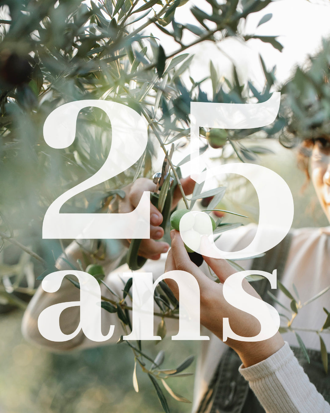 Femme coupant des branches d'olivier dans la nature