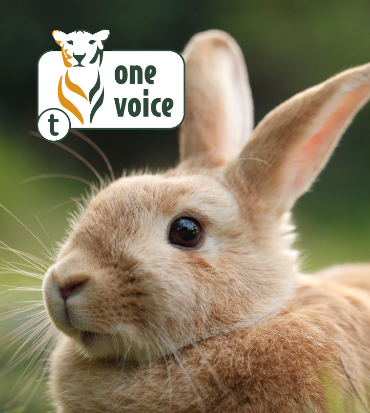Lapin dans la nature avec le logo One Voice visible