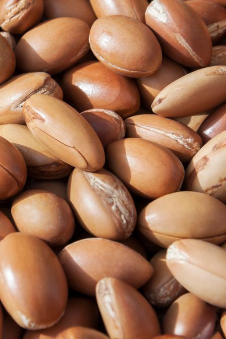 Noix d'argan en vrac
