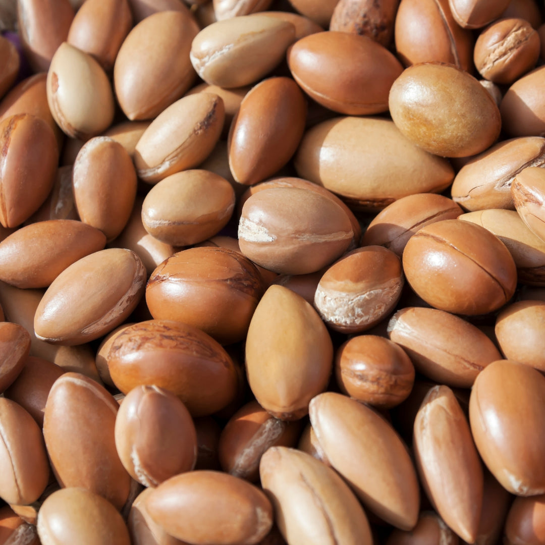 Gros plan sur des noix d'argan lisses et brunes, encore dans leur coque dure : un ingrédient essentiel du Coffret Soin Corps - Rituel Argan de Le Petit Olivier, idéal pour prendre soin des peaux sèches.
