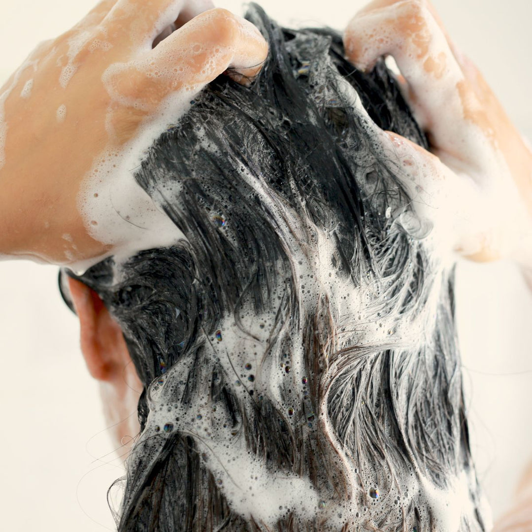 Une personne applique le Duo Shampooing et Après-shampooing « Le Petit Olivier » - Cheveux Normaux sur ses cheveux foncés mouillés, en massant pour obtenir une mousse blanche et onctueuse.