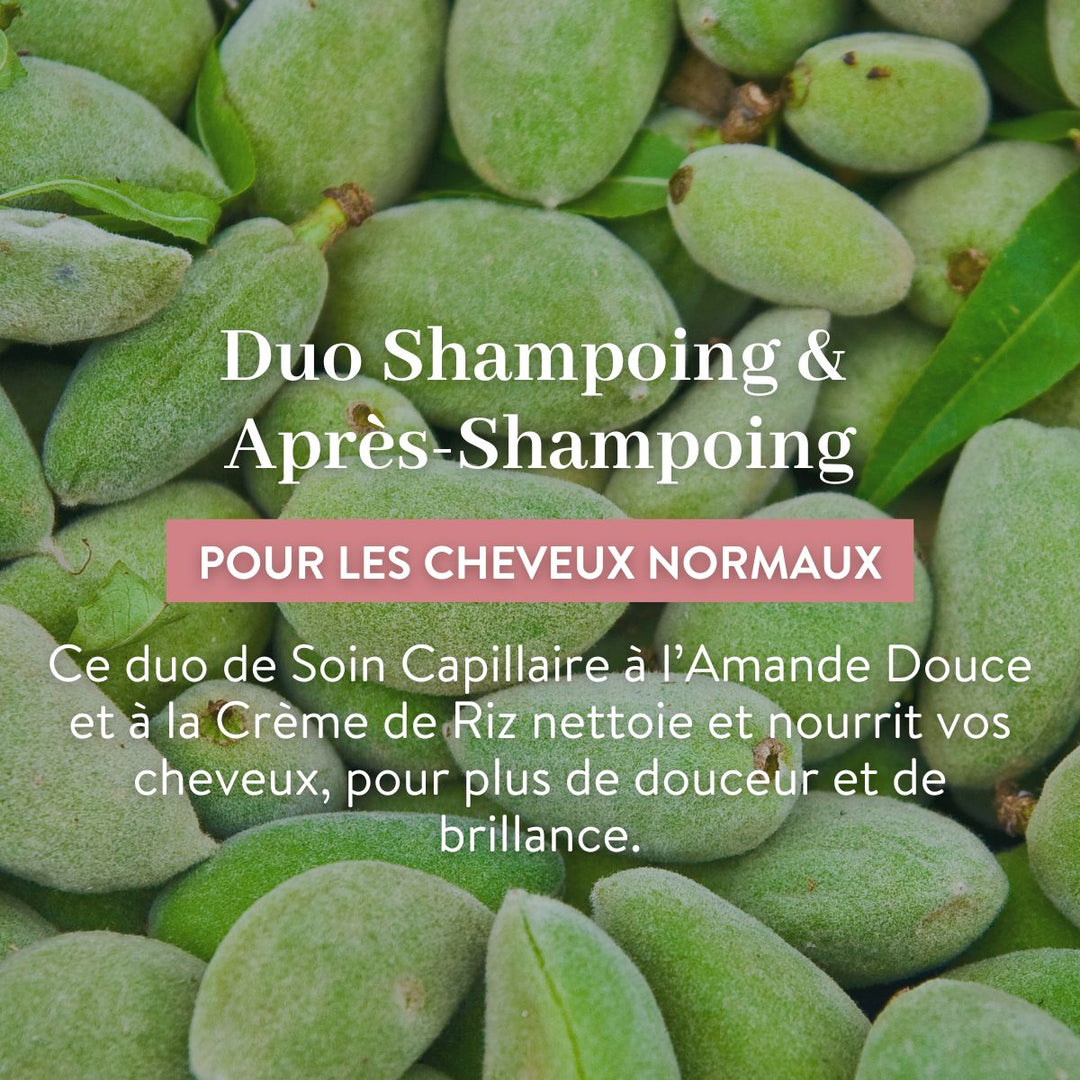 Gros plan sur le duo « Le Petit Olivier » (shampoing et après-shampoing) – Cheveux normaux, avec texte en français : shampoing sans sulfate et après-shampoing, à l’amande douce et à la crème de riz pour apporter douceur et nutrition — fabriqué en France.