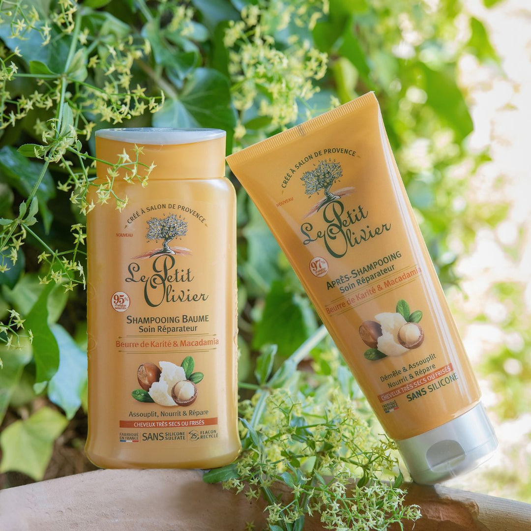Le duo shampoing et après-shampoing « Cheveux très secs ou frisés » de Le Petit Olivier est présenté en extérieur, sur une surface en pierre, au milieu de plantes vertes ; les flacons sans sulfate arborent des illustrations représentant du beurre de karité et de la noix de macadamia.