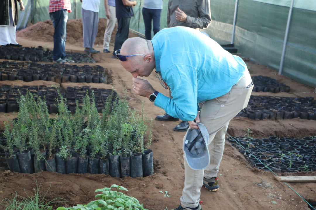 Une personne vêtue d'une chemise bleue se penche pour sentir ou examiner de jeunes plants dans une serre. D'autres se tiennent à l'arrière-plan, près d'autres plants.