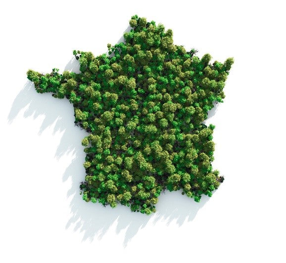 Un groupe dense d'arbres verts dessine la forme de la France sur un fond blanc, les ombres des arbres s'étendant vers la gauche.