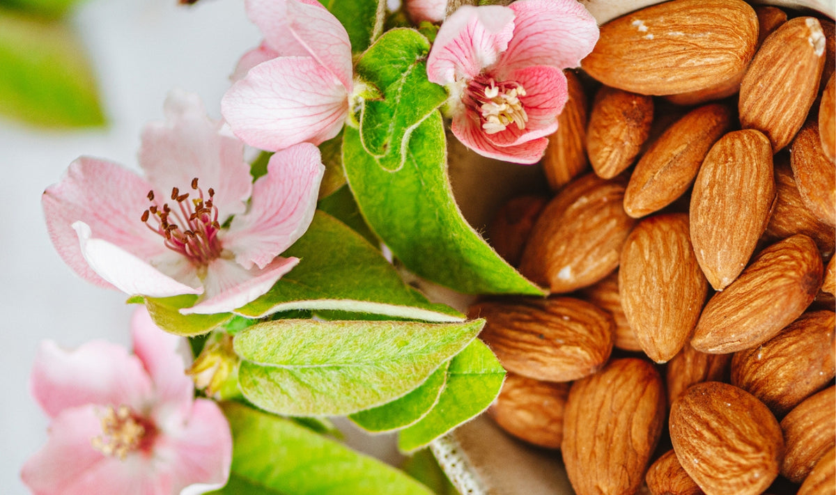 Gros plan sur des amandes crues dans un bol, à côté de feuilles vertes et de fleurs d'amandier roses.