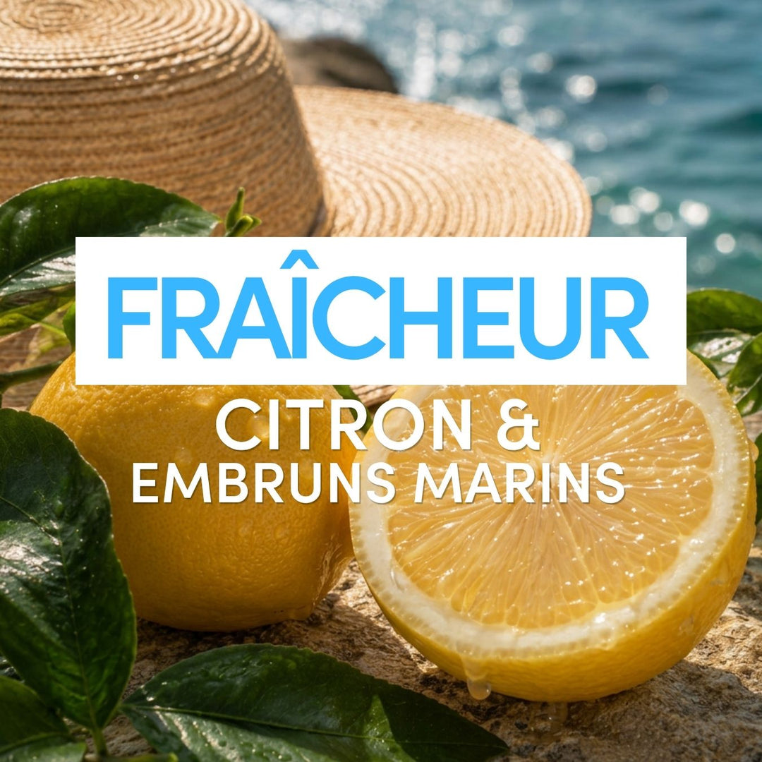 Un cédrat coupé en deux et des feuilles vertes reposent sur un rocher au bord de la mer, avec un chapeau de soleil tressé en arrière-plan. Le texte indique : « Brume Parfumée Fraîcheur par Le Petit Olivier — une brume parfumée pour sublimer vos cheveux. ».