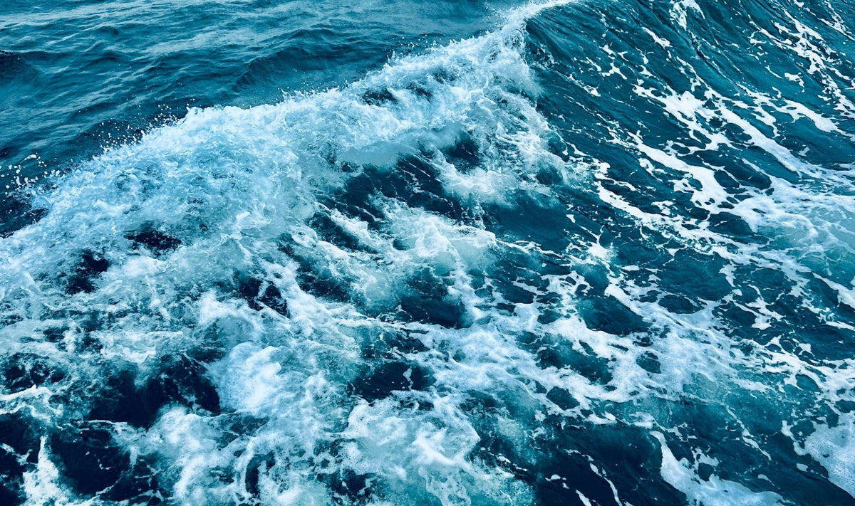 Les vagues bleues de l'océan viennent s'écraser en formant une écume blanche à la surface de l'eau. Cette scène rend compte du mouvement et de l'énergie de la mer, en mettant en valeur la texture et les variations de couleur de l'eau.