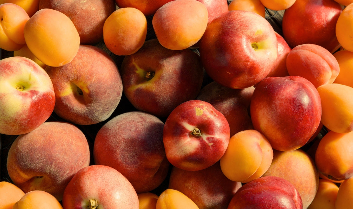 Un tas de nectarines et d'abricots frais, dont la peau rougeâtre et orange est bien visible, serrés les uns contre les autres.